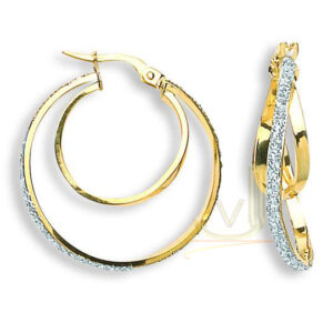 Gold Double Circle Hoop Earrings