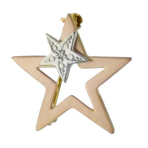 Gold Star Brooch Pin